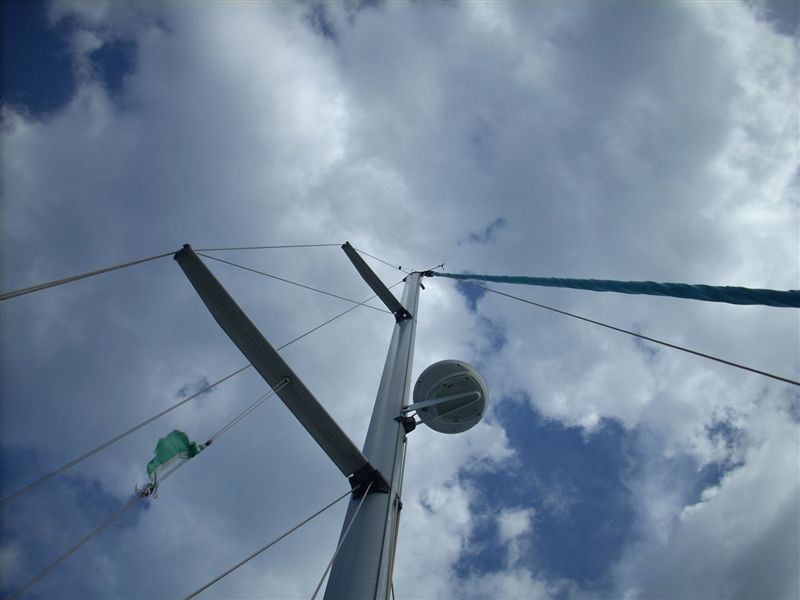 [Immagine: 200981018586_albero.JPG]