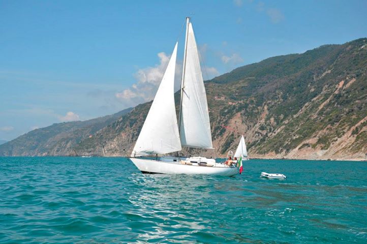 [Immagine: 201392975947_528177_10201973199841669_1222928103_n.jpg]