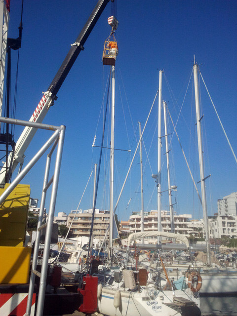 [Immagine: 2013618105336_Testa_albero_cestello.jpg]