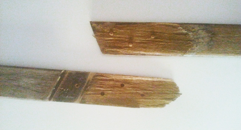 [Immagine: 2013822184546_Teak_pamchina_rottura_1.jpg]