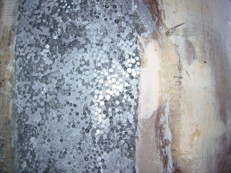 [Immagine: 20129795759_IMGP0283.JPG]