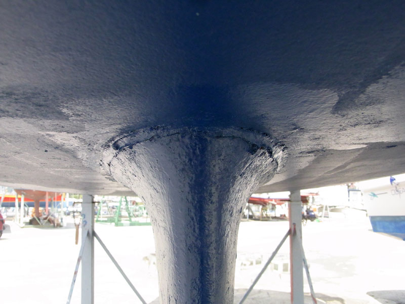 [Immagine: 201061823349_RIMG0132.jpg]