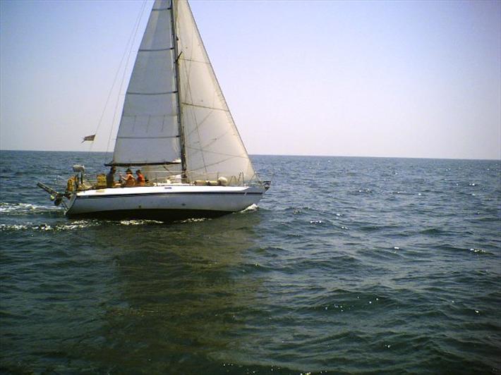 [Immagine: 200932910129_B214866.jpg]