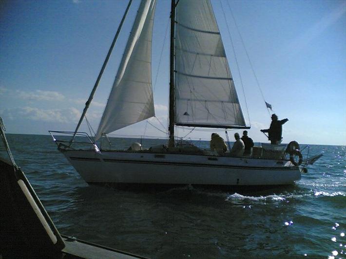 [Immagine: 2009329102912_B214859.jpg]