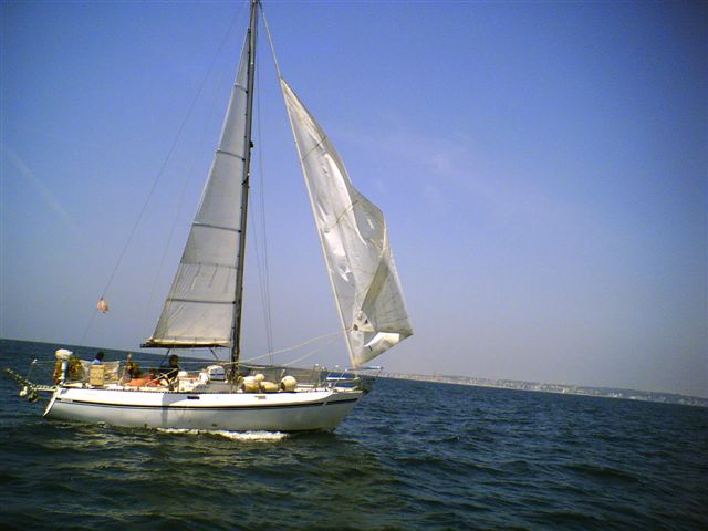 [Immagine: 200933104441_191.jpg]