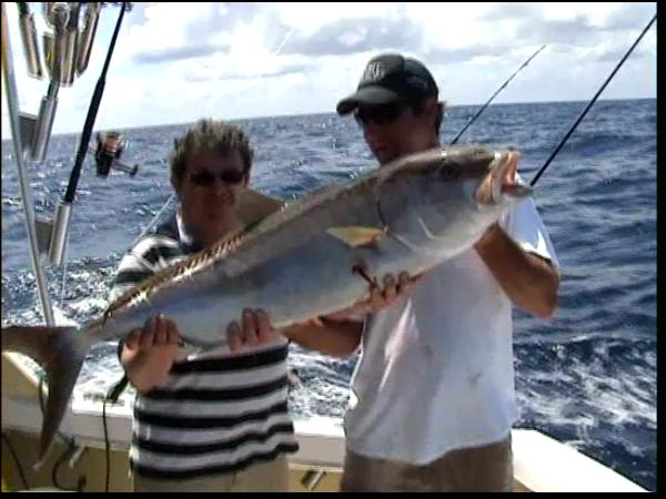 [Immagine: 201061923153_amberjack3.jpg]