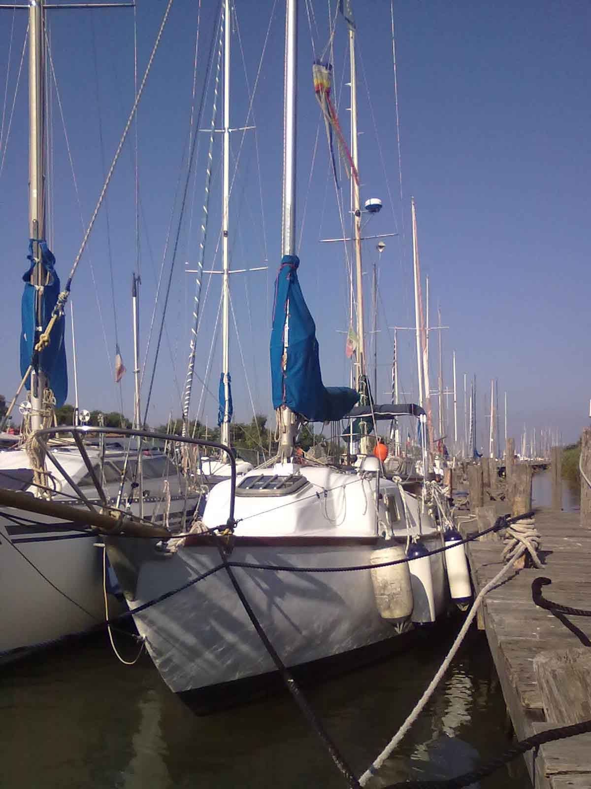 [Immagine: 201242511849_cocaletta2.jpg]