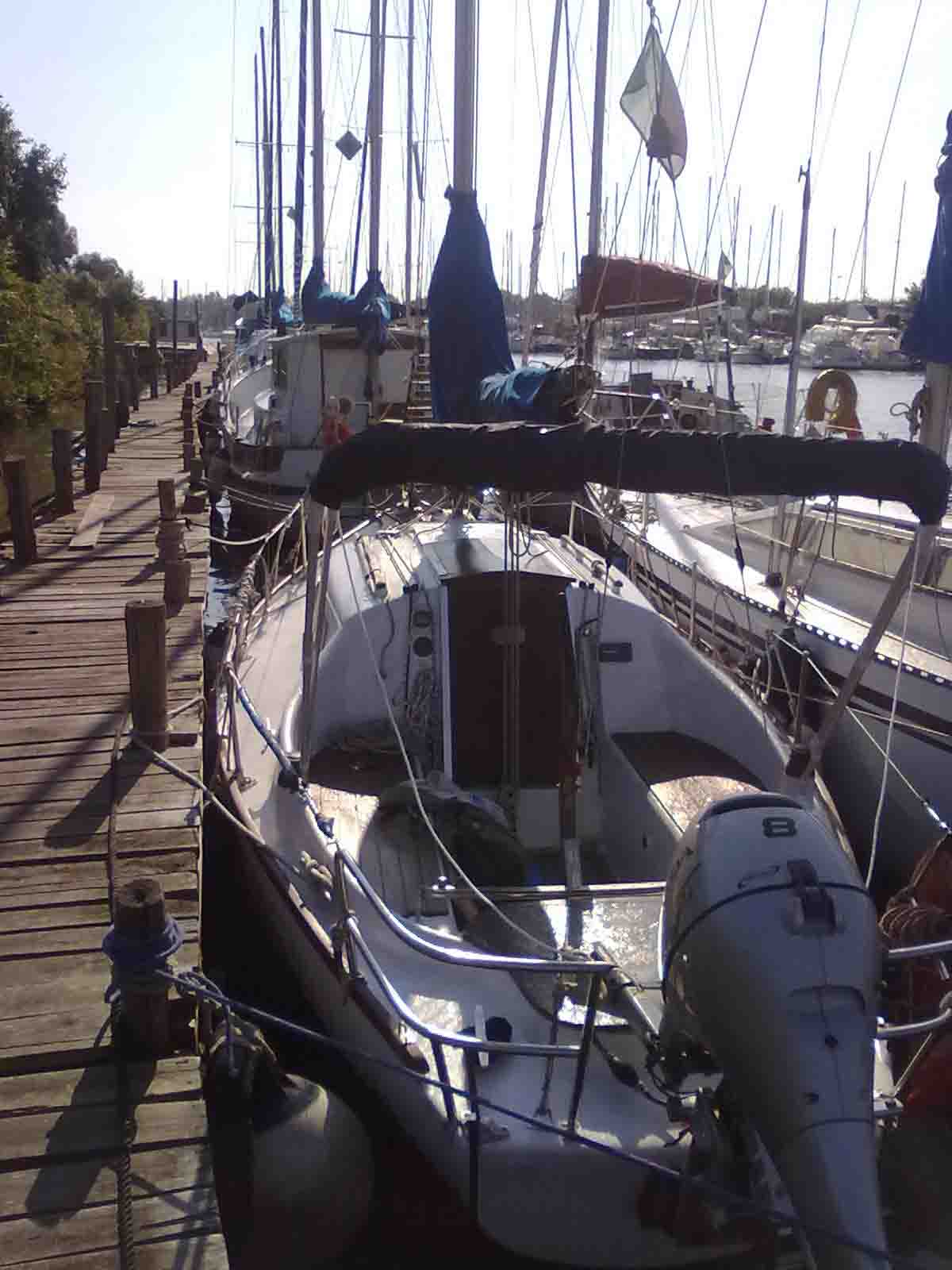 [Immagine: 20124251185_cocaletta1.jpg]